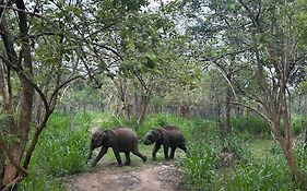 Sigiri Corridor Home Stay