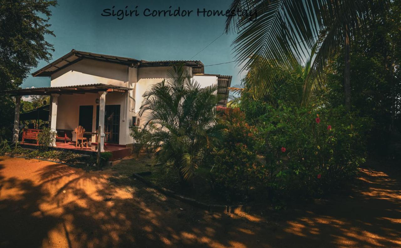 Sigiri Corridor Home Stay Sigiriya Exterior photo