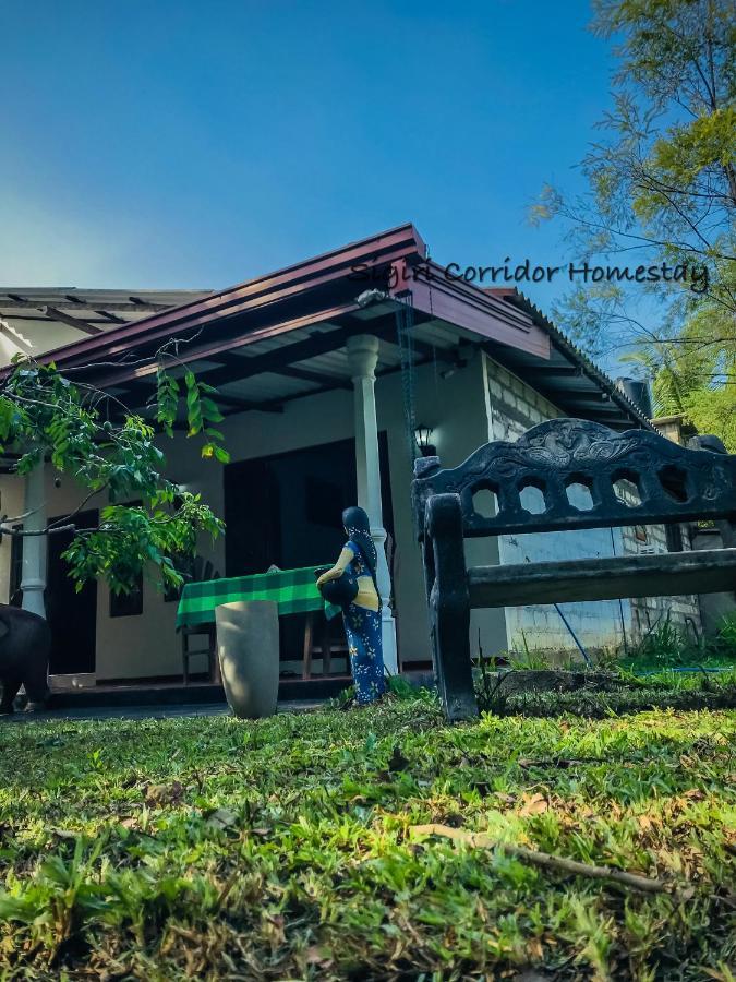 Sigiri Corridor Home Stay Sigiriya Exterior photo